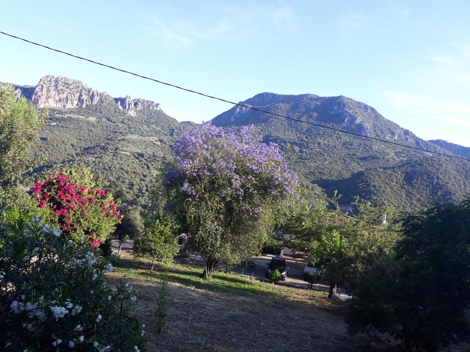 Casa Rural La Fresneda Ubrique Luaran gambar